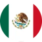 Mexico flag logo